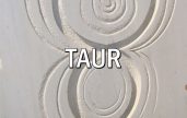 Zodia TAURULUI * Acvaria.com