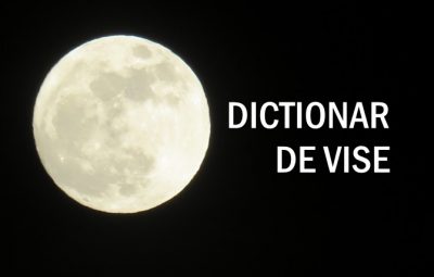 DICTIONAR DE VISE