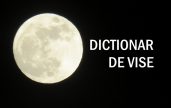 DICTIONAR DE VISE ACVARIA