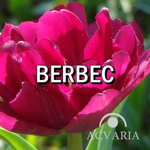 Horoscop scorpion azi noroc