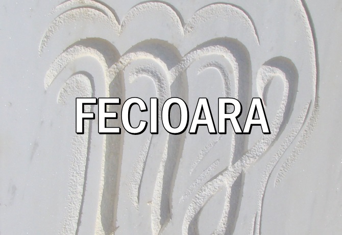 Intre 23 08 23 09 2019 Este Zodia Fecioarei Ce Efect Are Asupra