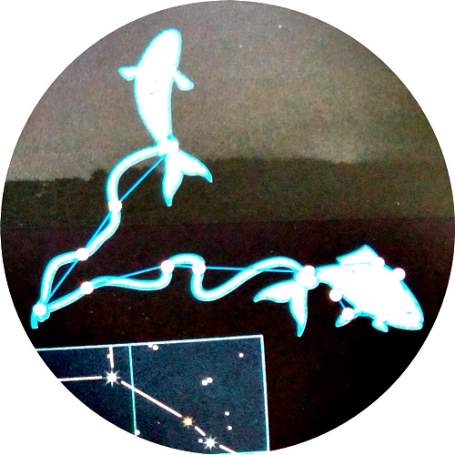 horoscop acvaria saptamanal piscesn