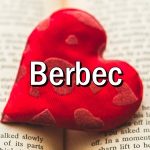 Cum iubeste BERBECUL?