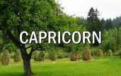 Horoscopul lunii AUGUST CAPRICORN