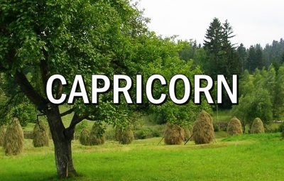 Horoscopul lunii AUGUST CAPRICORN