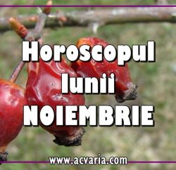 Horoscopul lunii noiembrie 2018 acvaria.com