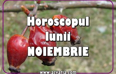 Horoscopul lunii noiembrie 2018 acvaria.com