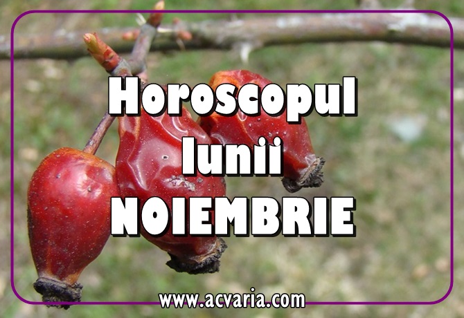 Horoscopul lunii noiembrie 2018 acvaria.com