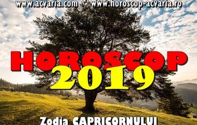 Horoscop 2019 zodia Capricornului