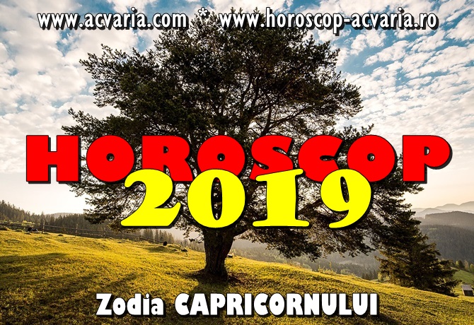 Horoscop 2019 zodia Capricornului