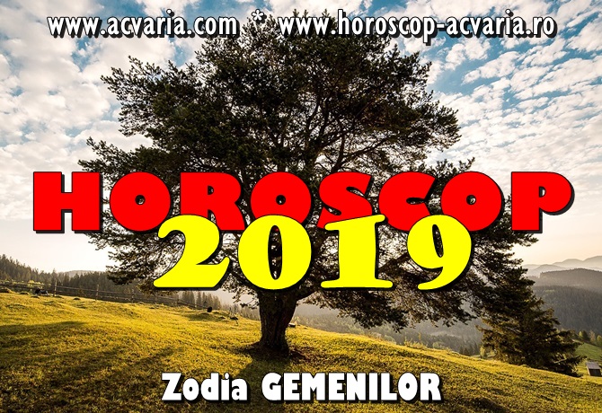 Horoscop 2019 zodia Gemeni