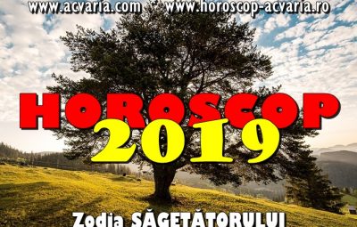 Horoscop 2019 zodia Sagetatorului