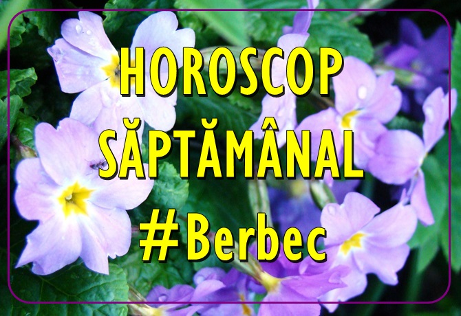 Horoscopul saptamanii BERBEC
