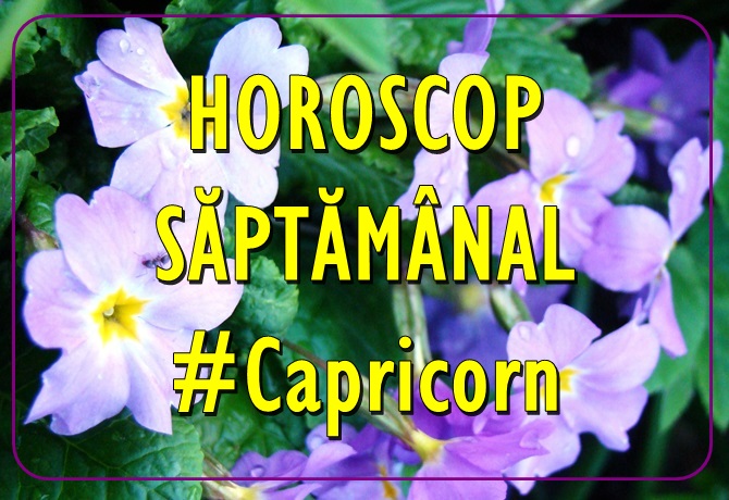 Horoscopul saptamanii CAPRICORN