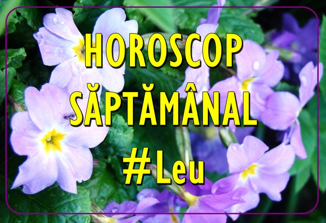 Horoscopul saptamanii LEU