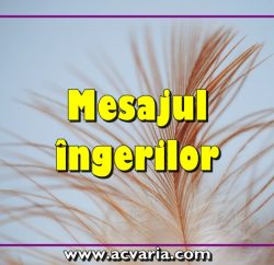 Mesajul ingerilor in acvaria.com
