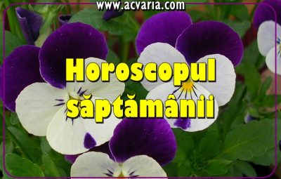 Horoscopul saptamanii Acvaria.com