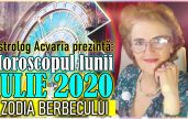 Horoscopul lunii IULIE BERBEC