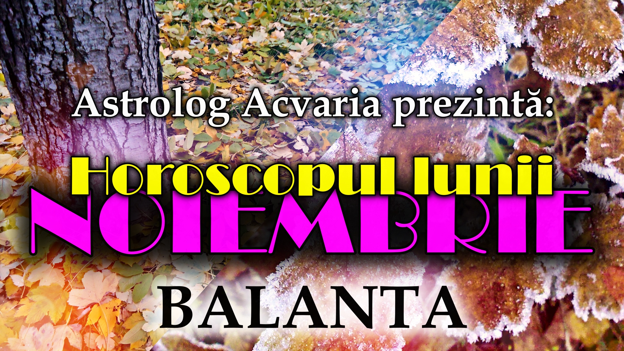 Horoscopul lunii NOIEMBRIE * Zodia BALANTEI