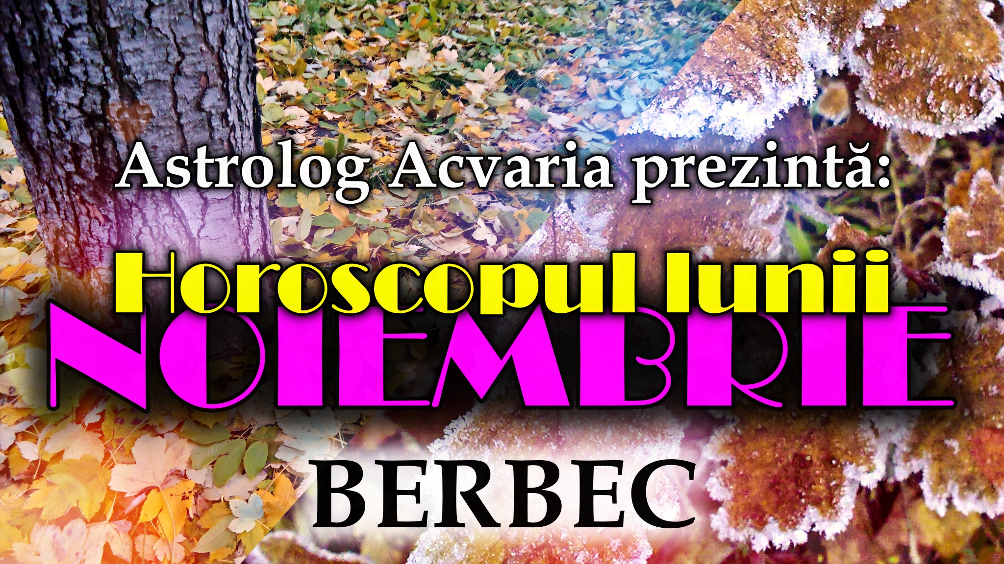 Horoscopul lunii NOIEMBRIE * Zodia BERBECULUI
