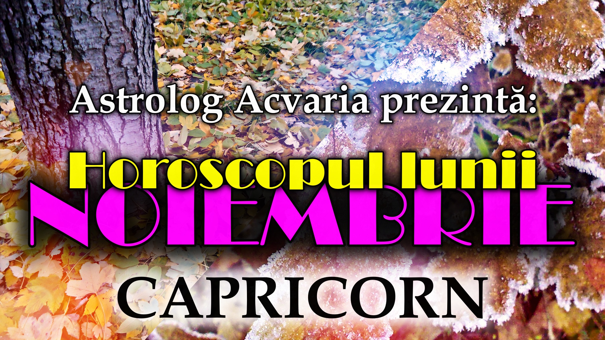 Horoscopul lunii NOIEMBRIE * Zodia CAPRICORNULUI