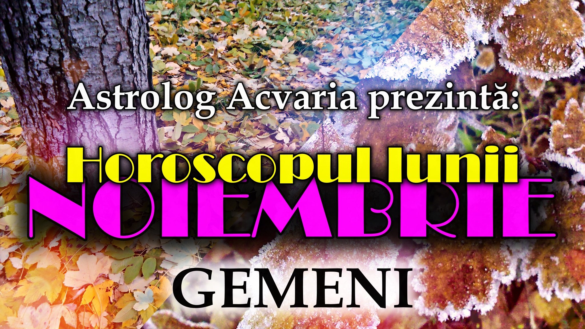 Horoscopul lunii NOIEMBRIE * Zodia GEMENILOR