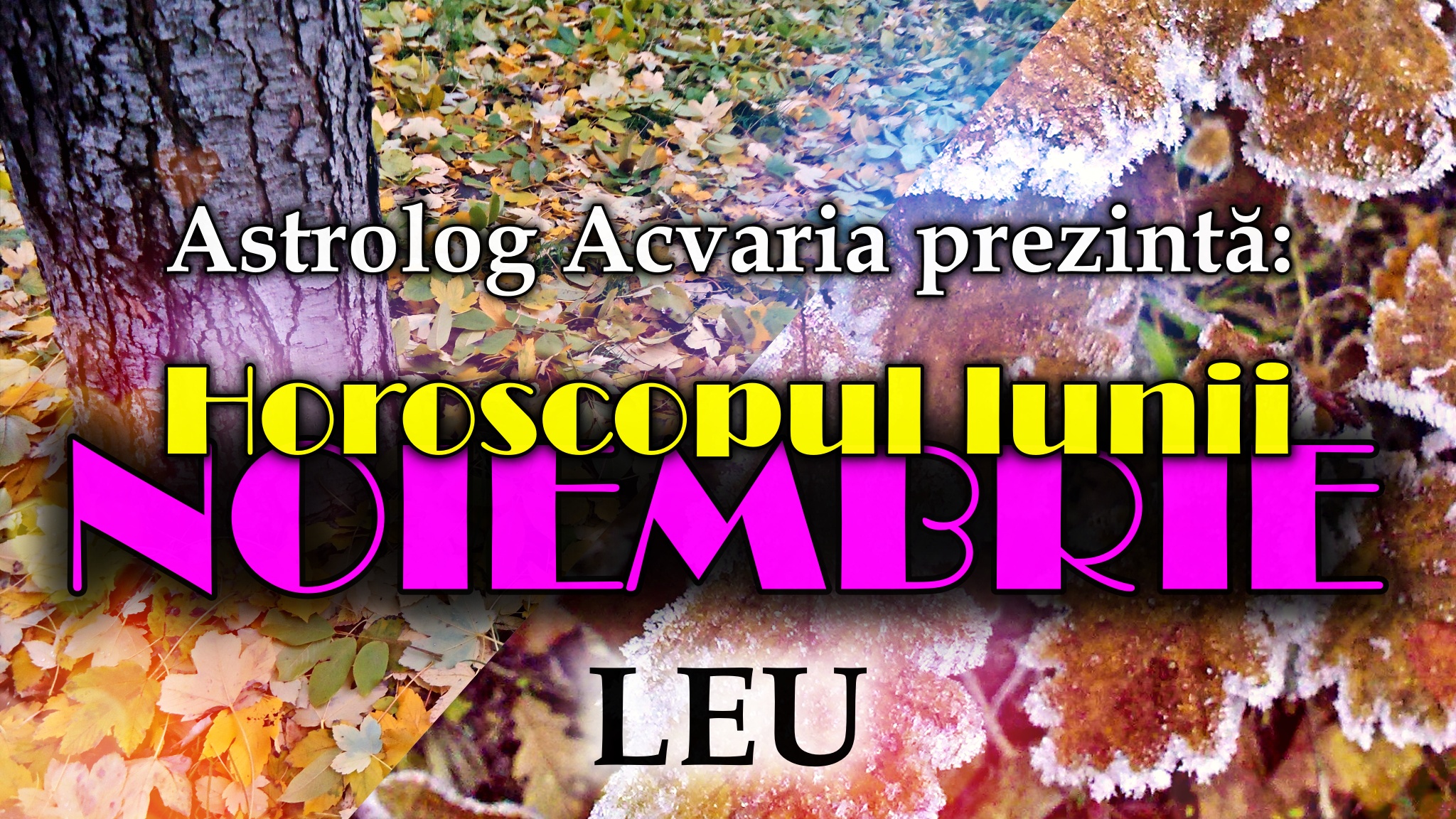 Horoscopul lunii NOIEMBRIE * Zodia LEULUI