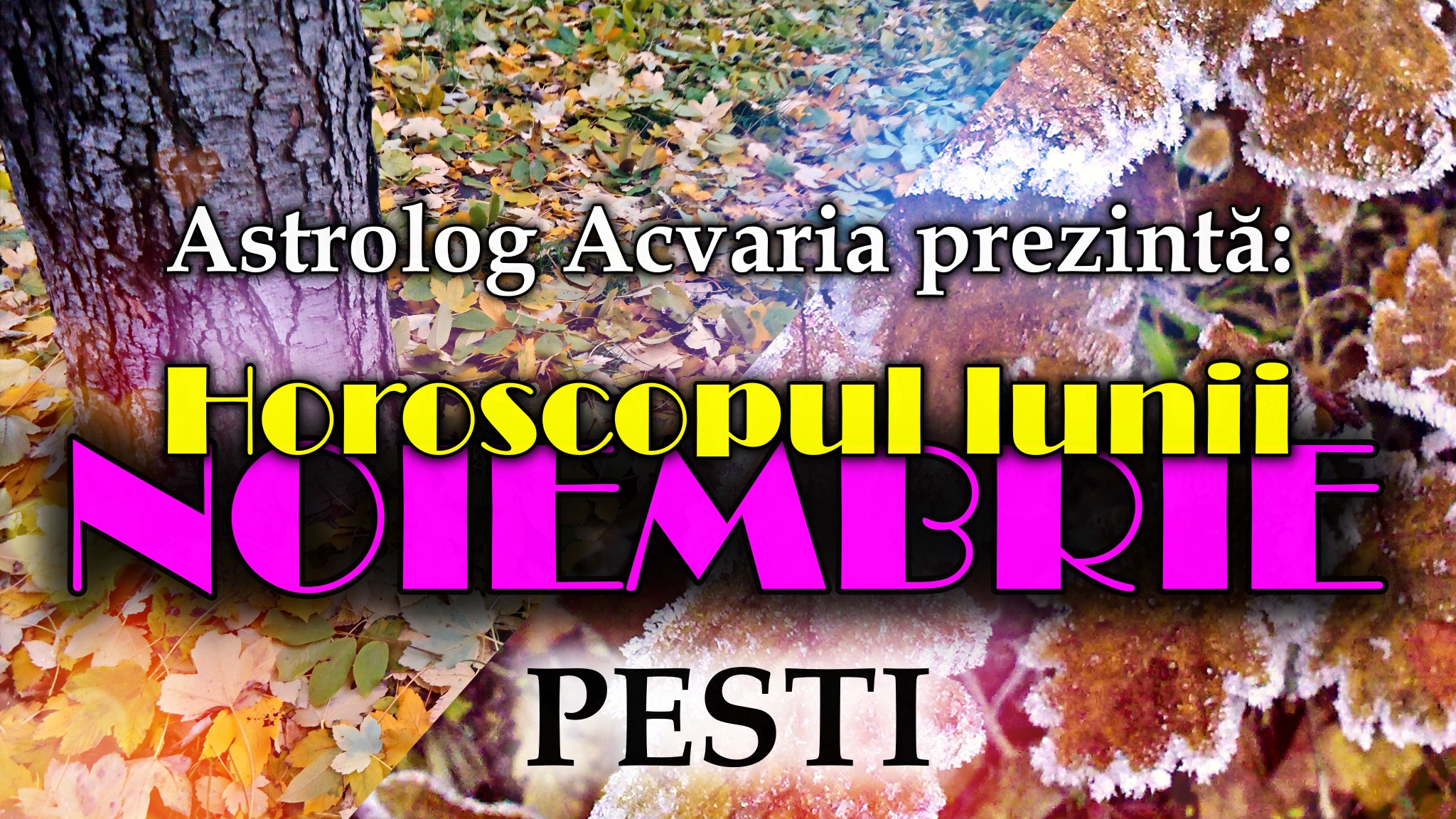 Horoscopul lunii NOIEMBRIE * Zodia PESTILOR