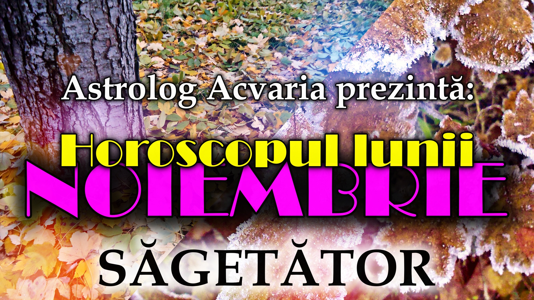 Horoscopul lunii NOIEMBRIE * Zodia SAGETATORULUI