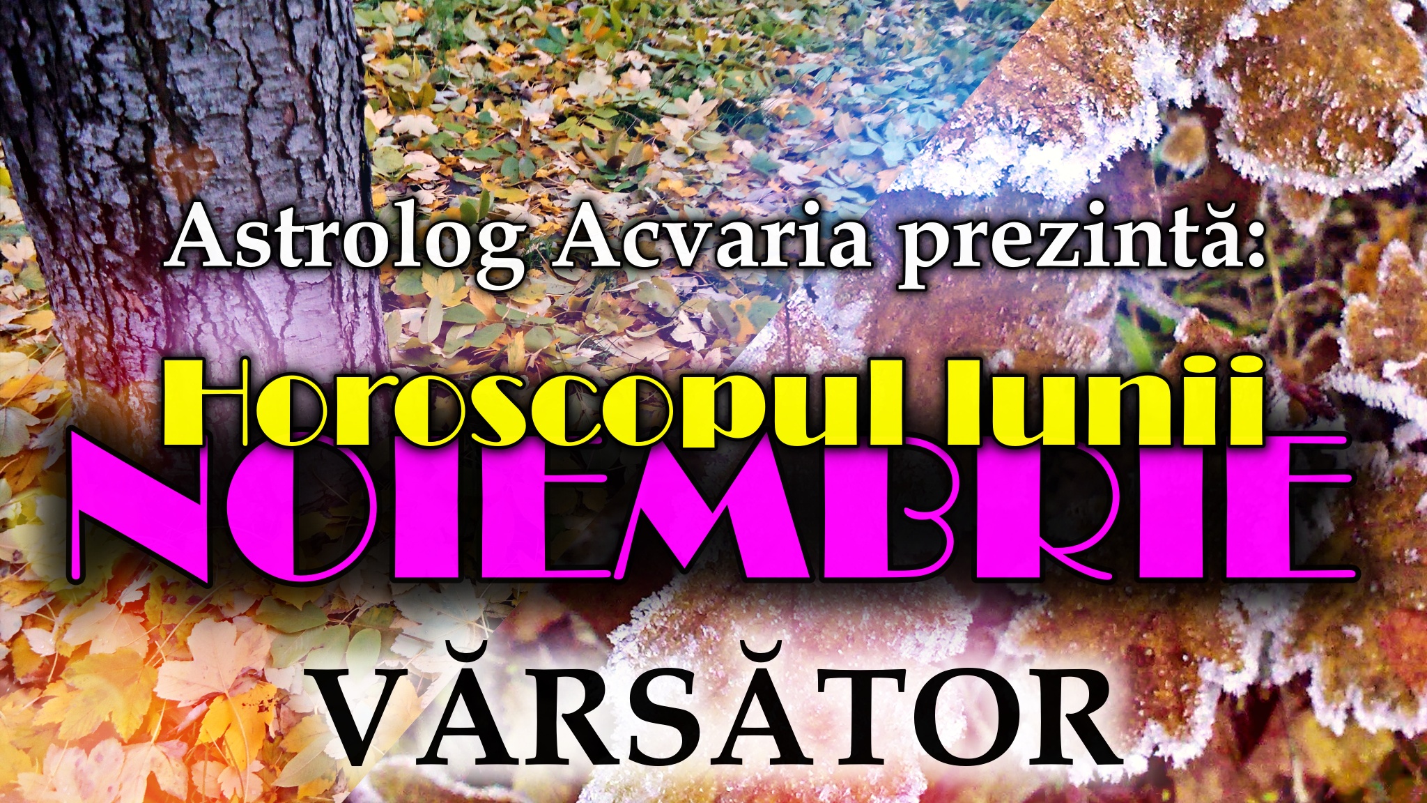 Horoscopul lunii NOIEMBRIE * Zodia VARSATORULUI