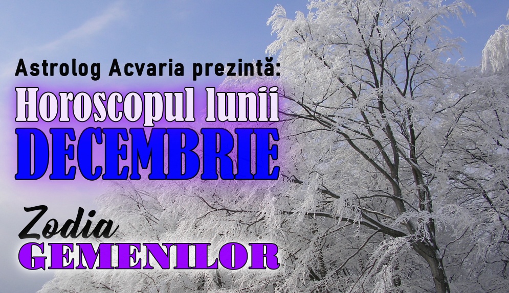 Horoscopul lunii DECEMBRIE * Zodia GEMENILOR