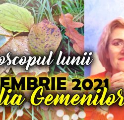 Horoscopul lunii NOIEMBRIE 2021 GEMENI ACVARIA.COM