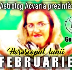 Horoscopul lunii FEBRUARIE 2022 Zodia GEMENILOR